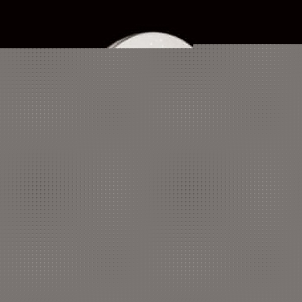 Накладной светильник Sonex Leka 2051/DL