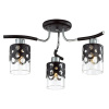 Потолочная люстра Lumion Colett 3272/3C