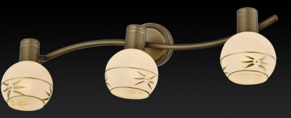Спот TopLight Sharleen TL3790Y-03AB