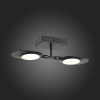 Светильник на штанге ST-Luce Farfalla SL824.401.02