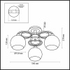 Потолочная люстра Odeon Light Vesonto 2774/3C