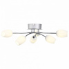 Потолочная люстра ST-Luce Luna SL478.102.06