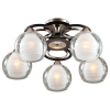 Потолочная люстра Lumion Vesonto 2774/5C