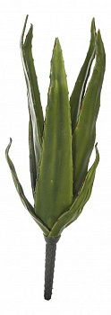 Зелень (36 см) Алоэ 58008100