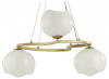 Подвесная люстра Odeon Light Waterlily 4873/3