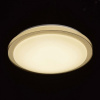 Накладной светильник MW-Light Ривз 674012601