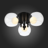 Накладной светильник ST-Luce Elleto SL1483.402.03