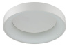 Накладной светильник Odeon Light Sole 4062/50CL