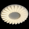 Накладной светильник ST-Luce Tifoso SL837.502.24