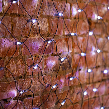 Сеть световая (2.5x2.5 м) LED-SNL 215-031