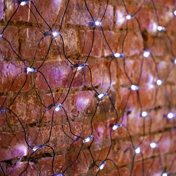 Сеть световая (2.5x2.5 м) LED-SNL 215-031