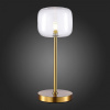 Настольная лампа декоративная ST-Luce Finn SL1049.304.01