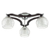 Потолочная люстра Lumion Ampolla 3081/3C