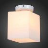 Накладной светильник ST-Luce Aspetto SL548.501.01