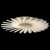 Накладной светильник ST-Luce Girasole SL836.502.24