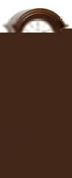 Настенные часы (28x85 см) Comitti C3069TCH