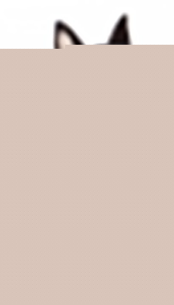 Статуэтка (30х22 см) Собака 504-208