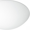 Плафон стеклянный Paulmann DecoSystems 70054