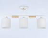 Люстра на штанге Ambrella Light TR TR9546