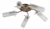 Потолочная люстра TopLight Brittany TL7130X-05AB