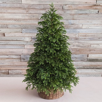 Ель новогодняя [2.15 м] Коттеджная зеленая FULL РЕ 74418