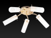 Потолочная люстра TopLight Brittany TL7130X-05FG