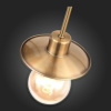 Потолочная люстра ST-Luce Guido SL1111.301.05