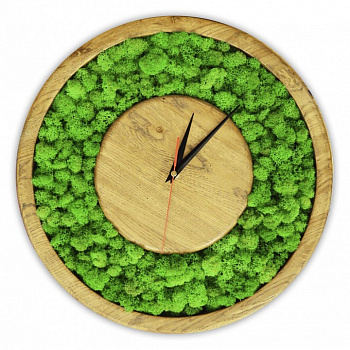 Настенные часы (60 см) Мох