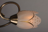Потолочная люстра Omnilux OM-379 OML-37907-05