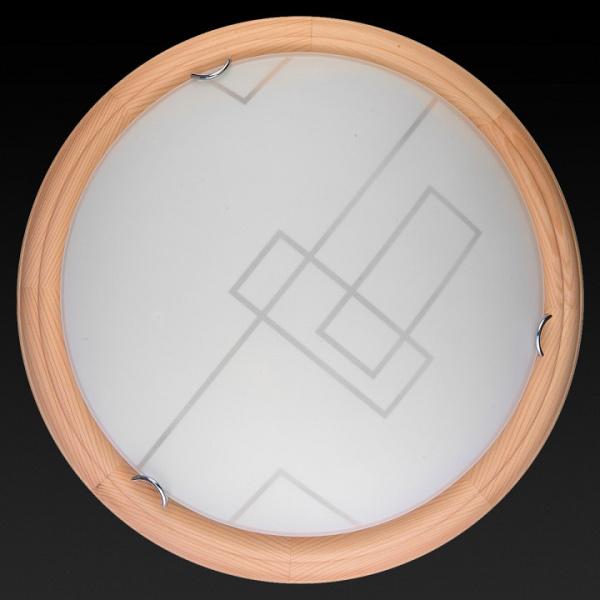 Накладной светильник TopLight Debora TL9540Y-00PN
