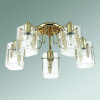Потолочная люстра Lumion Ora 3069/5C