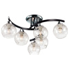 Потолочная люстра Lumion Vanes 2943/6C