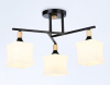 Люстра на штанге Ambrella Light TR TR9493