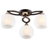 Потолочная люстра Lumion Bonar 2773/3C