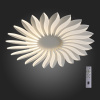Накладной светильник ST-Luce Girasole SL836.502.24