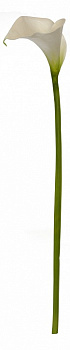 Цветок (80 см) Калла 58003800