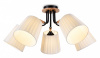 Потолочная люстра Ambrella Light TR TR4733