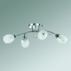 Потолочная люстра Lumion Frimas 2834/4C