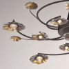 Потолочная люстра MW-Light Адриатика 280011611