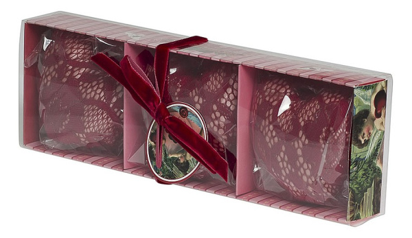 Набор саше (26х8 см) Лимонник и имбирь F15S-LG038