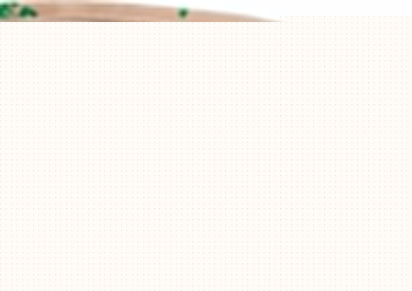 Шнур световой Feron Saffit LS670 29518