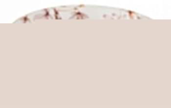 Чаша декоративная (15.5х6 см) Невинное утро 264-907