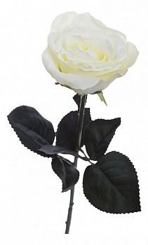 Набор из 36 цветков Роза 8J-1211S0001