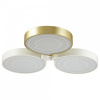 Накладной светильник Lumion Dilip 3646/60CL