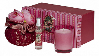 Набор подарочный (19.2х9 см) Лимонник и имбирь F15S-LG027A