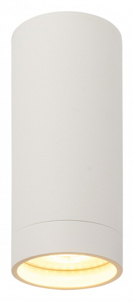 Накладной светильник Denkirs DK2000 DK2051-WH