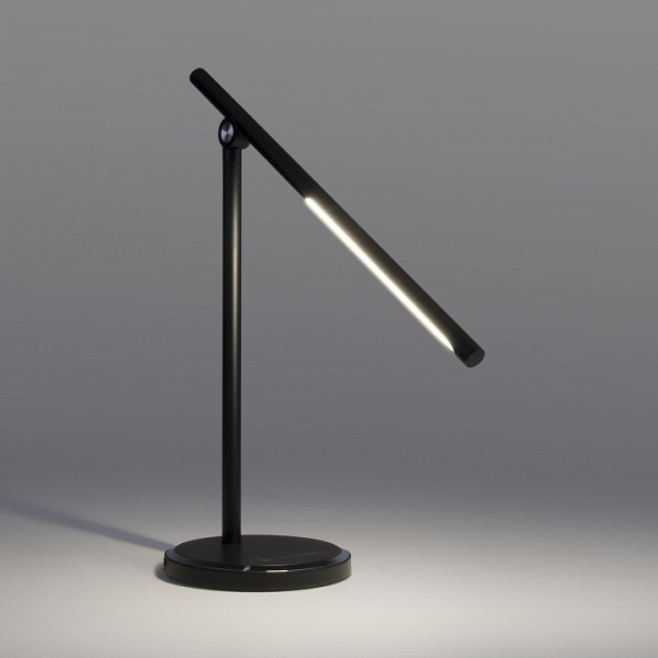 Настольная лампа офисная Elektrostandard Vara a044010