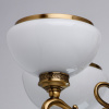 Подвесная люстра MW-Light Аманда 2 481010506