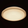 Накладной светильник MW-Light Ривз 674012601