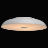Накладной светильник MW-Light Канапе 708010409